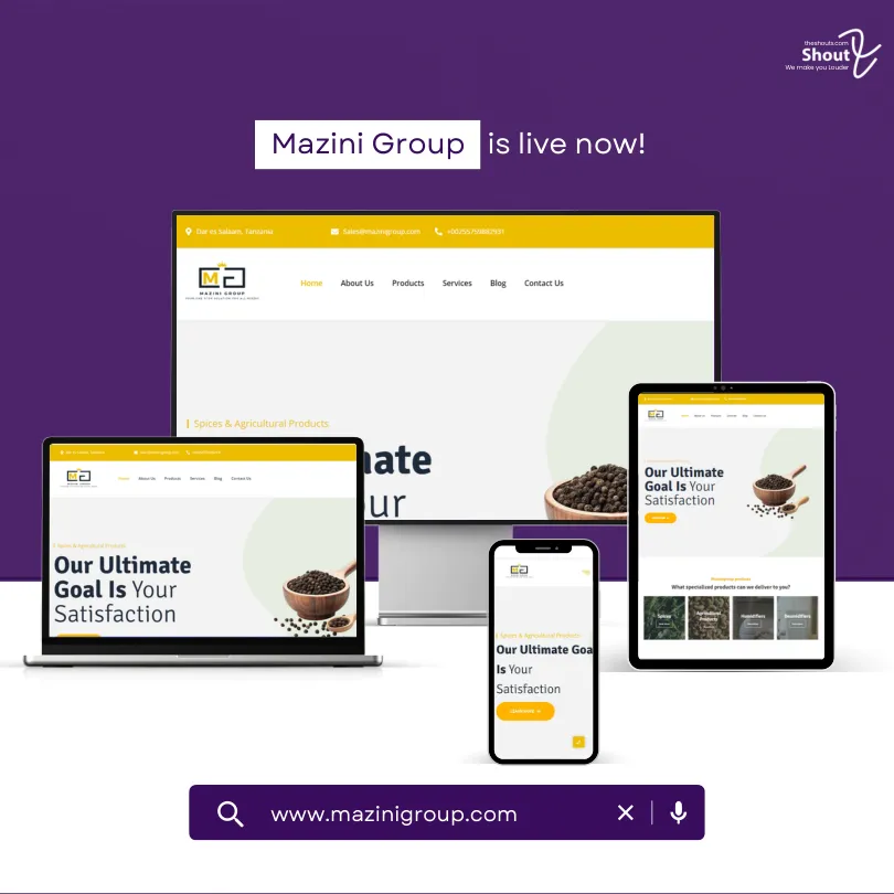 Mazini Group website project artwork from the ShoutX portfolio