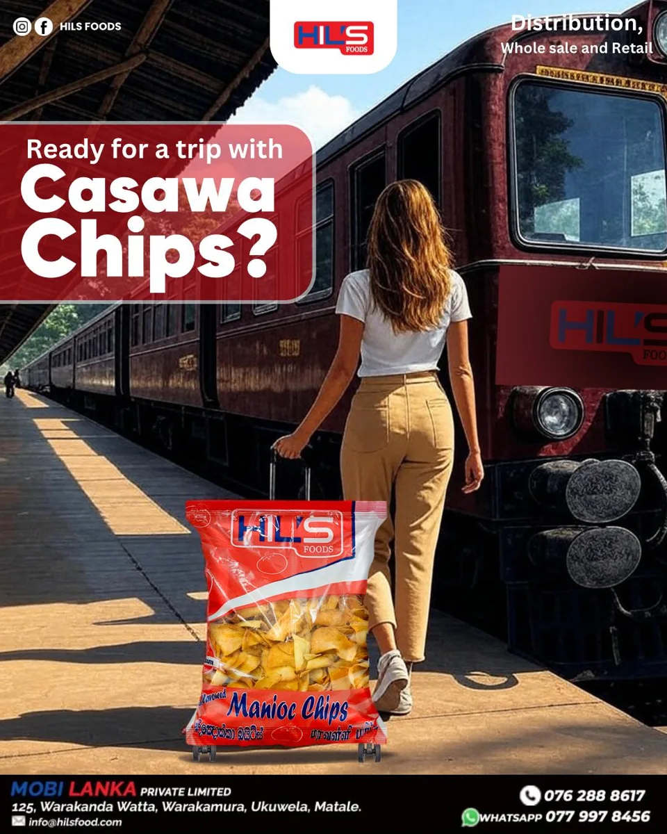 HILS Foods — Travel and snacks campaign artwork