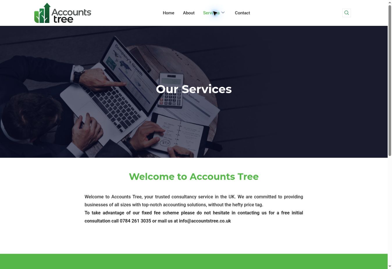 AccountsTree Services page captured from the live website